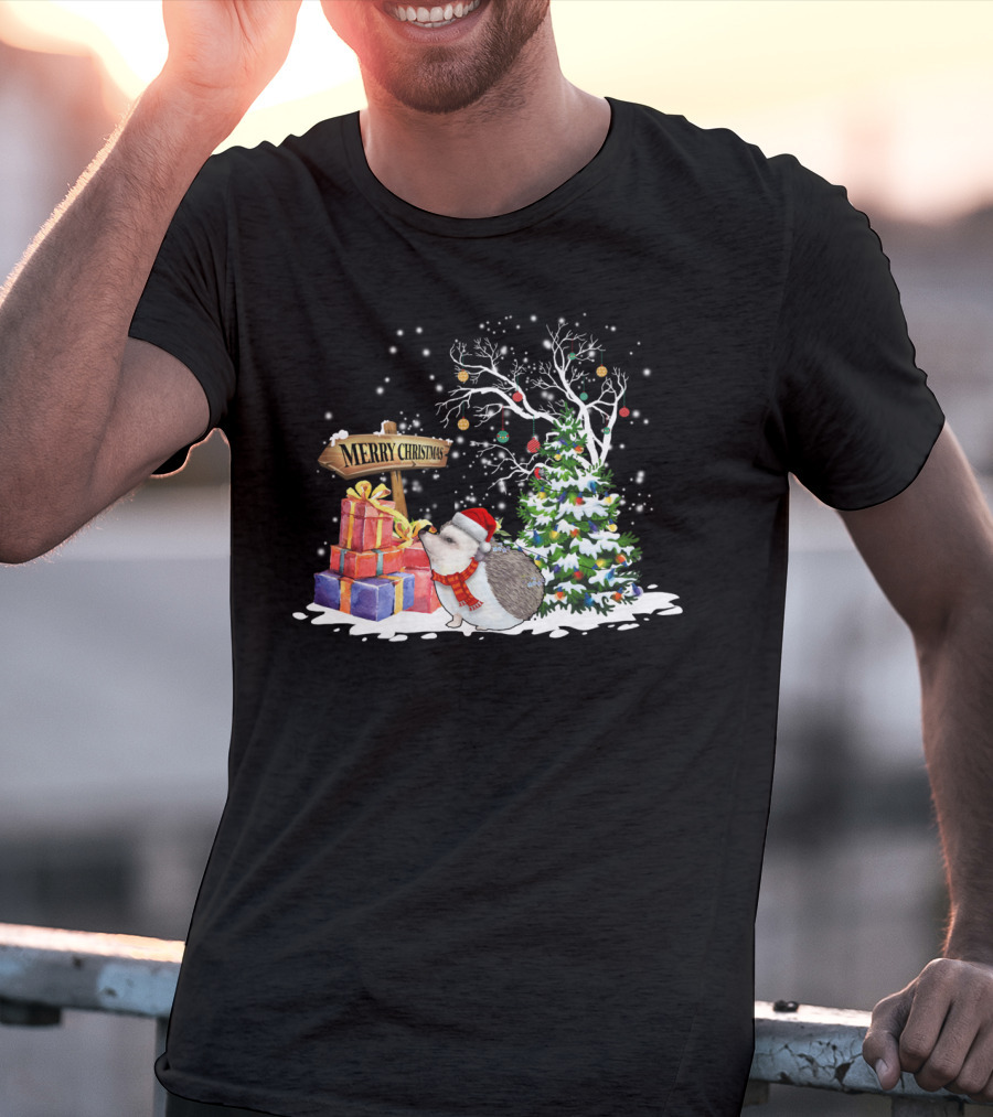 Merry Christmas Funny Hedgehog Santa Christmas Hedgehog Lover T-Shirt