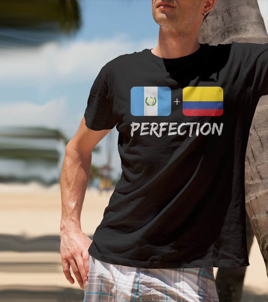 Guatemalan Flag Plus Colombian Flag Equals Perfection T-Shirt