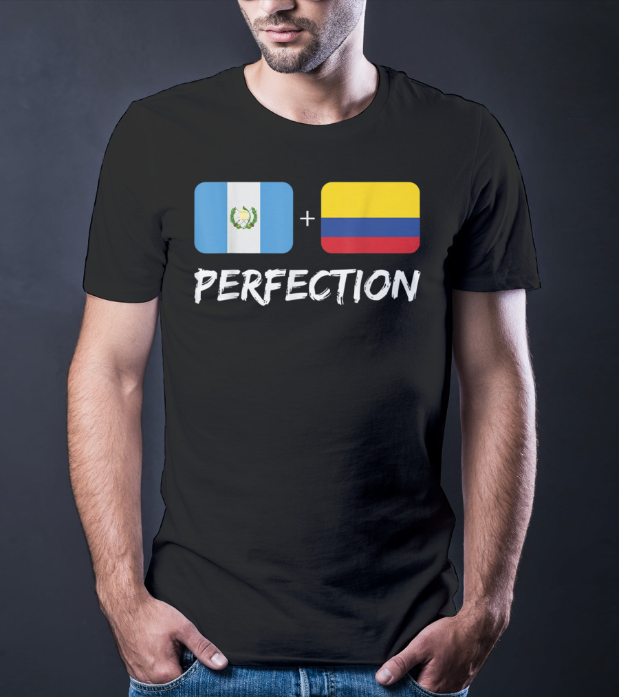 Guatemalan Flag Plus Colombian Flag Equals Perfection T-Shirt