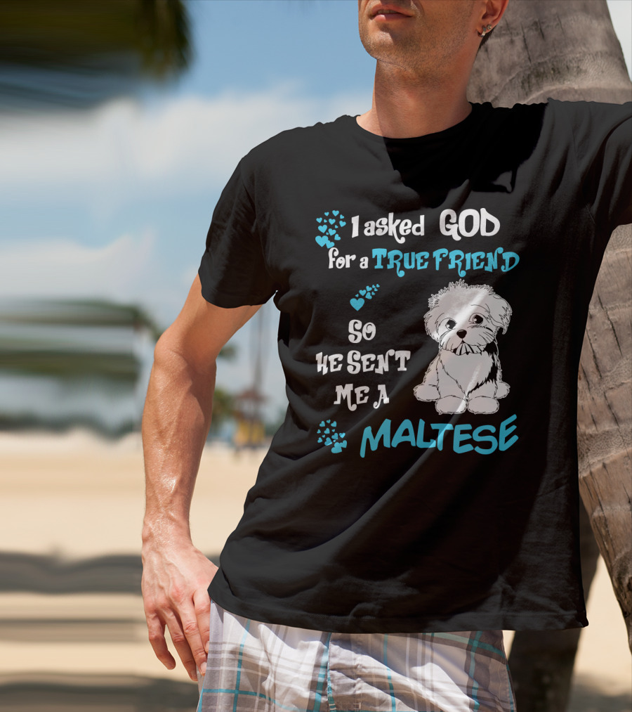 God Sent Me A True Friend Maltese Dog So He Sent Me A Maltese T-Shirt