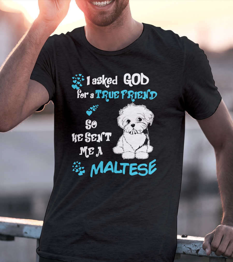 God Sent Me A True Friend Maltese Dog So He Sent Me A Maltese T-Shirt