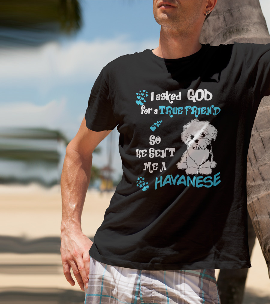I Asked God For A True Friend So He Sent Me A Havanese T-Shirt