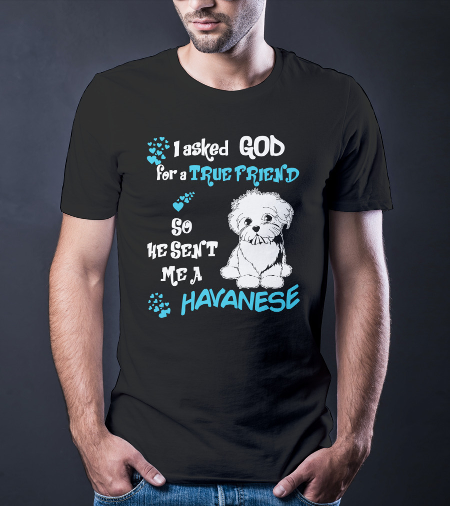 I Asked God For A True Friend So He Sent Me A Havanese T-Shirt