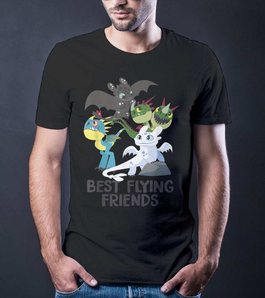 Best Flying Friends How To Train Your Dragon 3 Hidden World T-Shirt