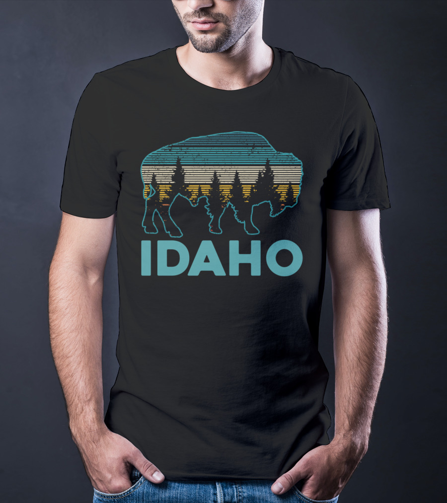 Idaho Bison Vintage American Buffalo Silhouette With Forest And Stripes T-Shirt