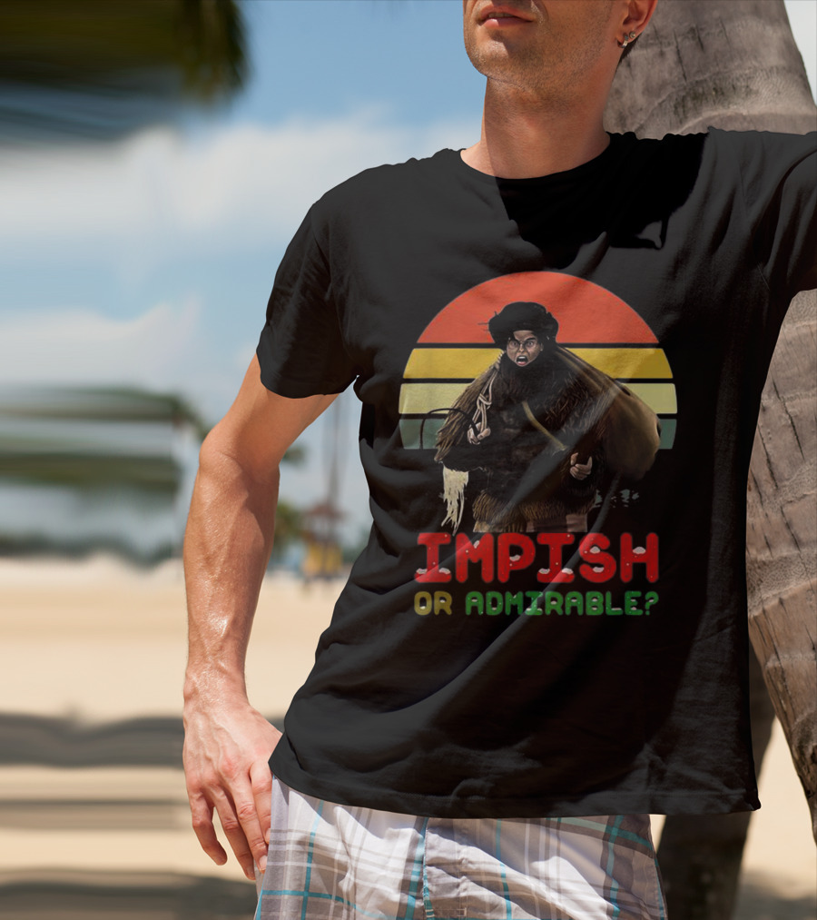 Impish Or Admirable Vintage Retro Sunset T-Shirt