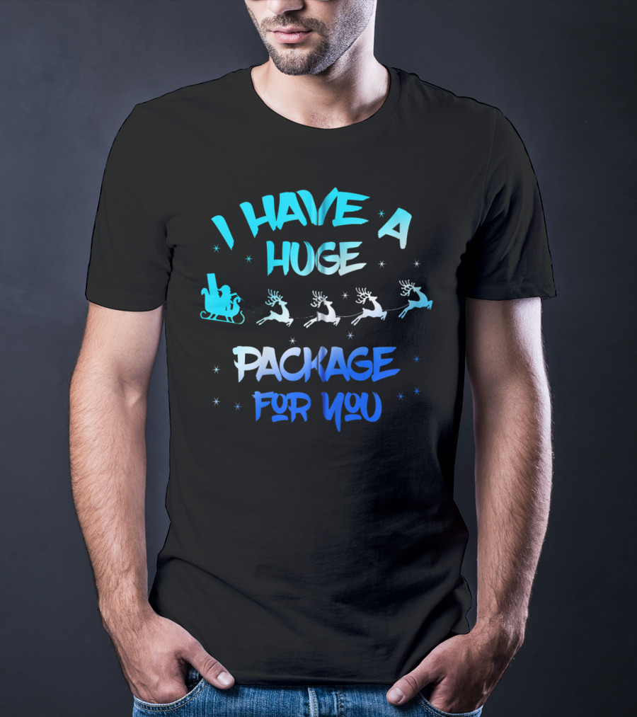 I Have A Huge Package For You Santa Reindeer Sleigh T-Shirt