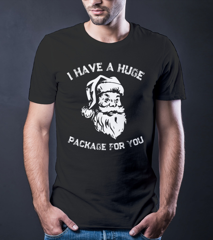 I Have A Huge Package For You Santa T-Shirt