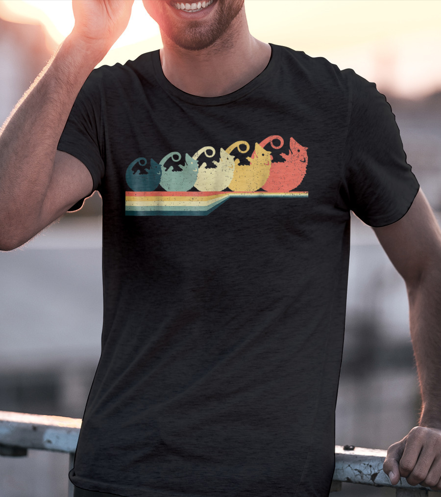 OPOSSUM Vintage Style Retro Rainbow T-Shirt