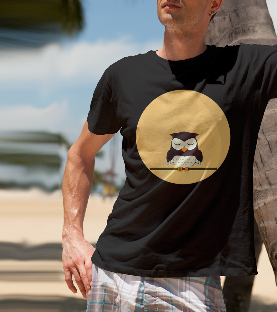 An Owl And The Full Moon Night Sky T-Shirt