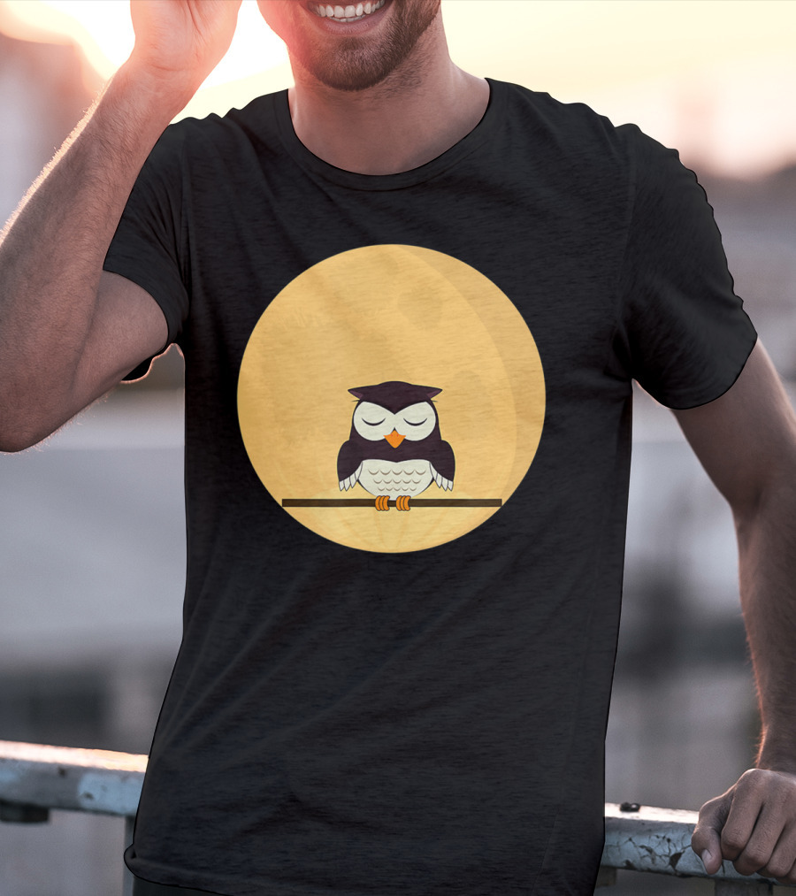 An Owl And The Full Moon Night Sky T-Shirt