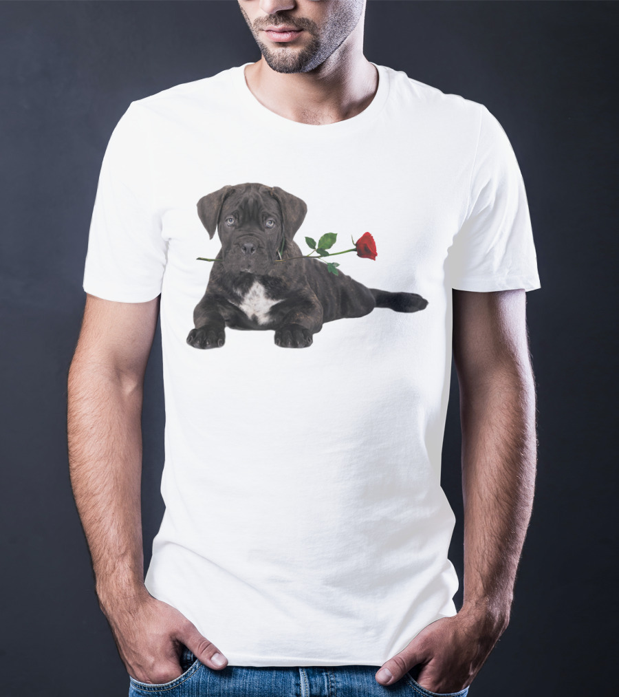 Cane Corso Puppy With A Red Rose In Mouth T-Shirt