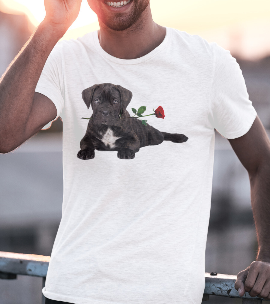 Cane Corso Puppy With A Red Rose In Mouth T-Shirt