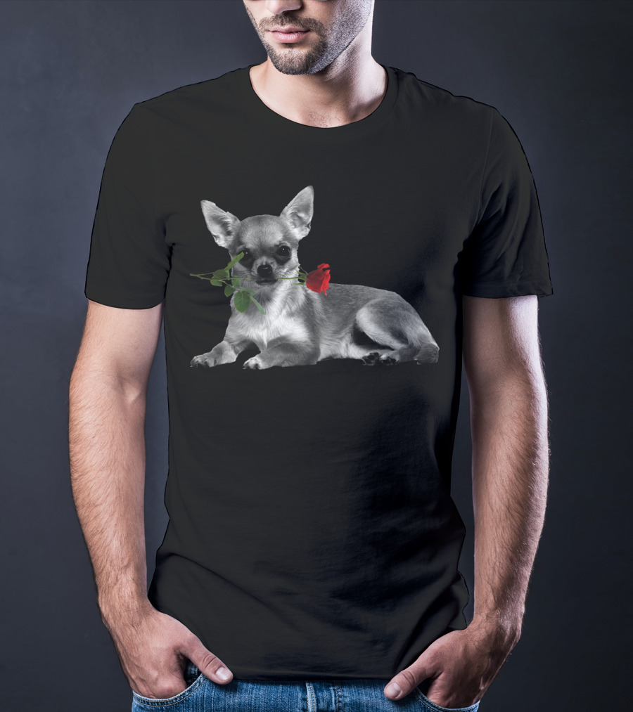 Chihuahua Holding A Red Rose In Mouth T-Shirt