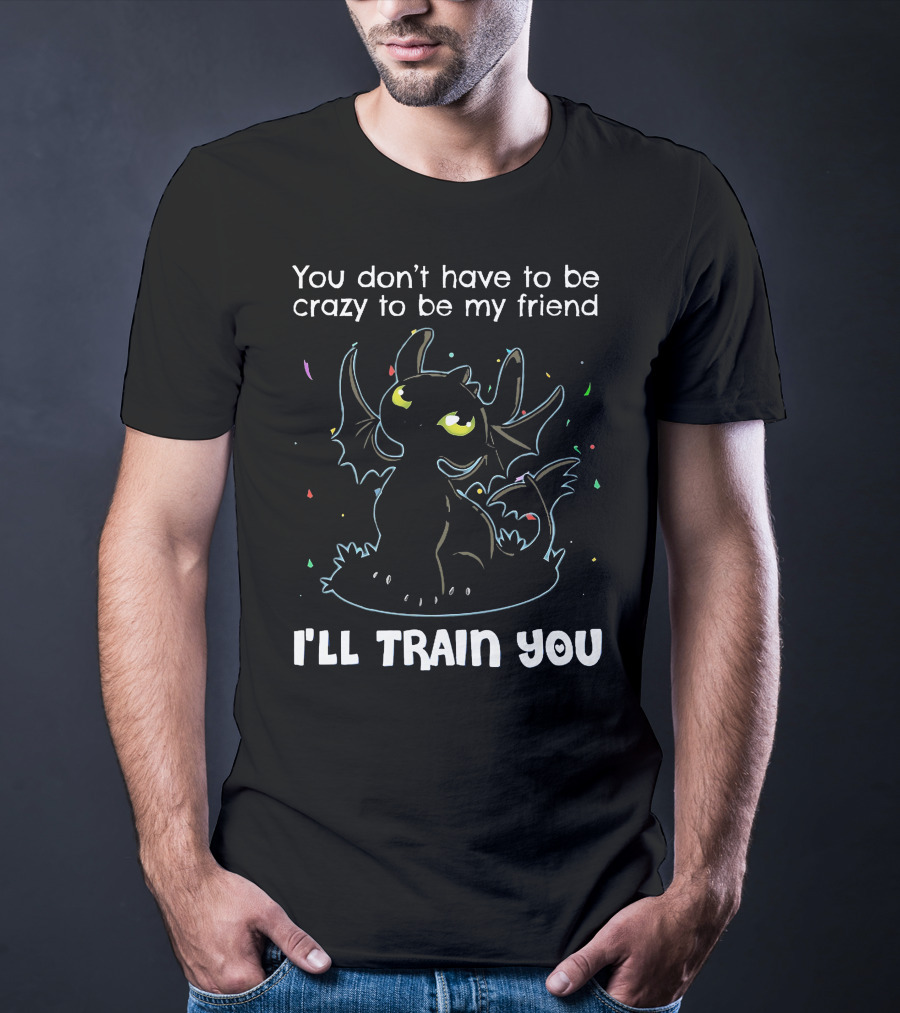 You Don't Have To Be Crazy To Be My Friend Toothless I'll Train You T-Shirt