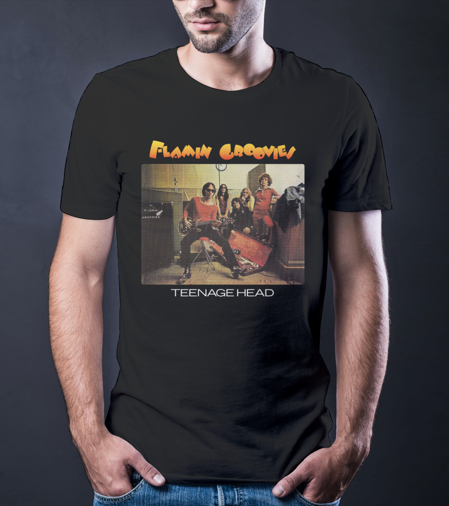 Flamin Groovies Teenage Head T-Shirt