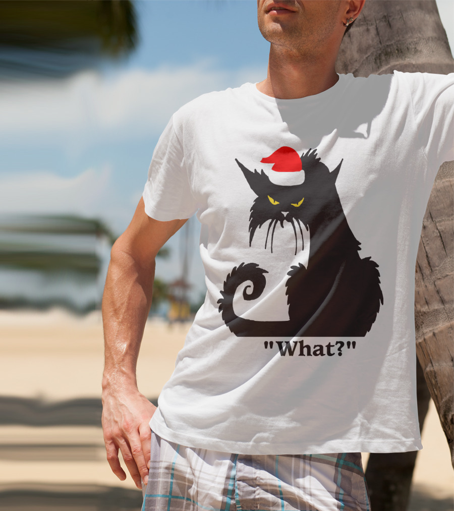 What Cat With Santa Hat T-Shirt