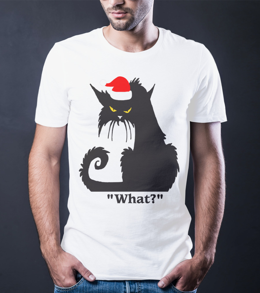 What Cat With Santa Hat T-Shirt