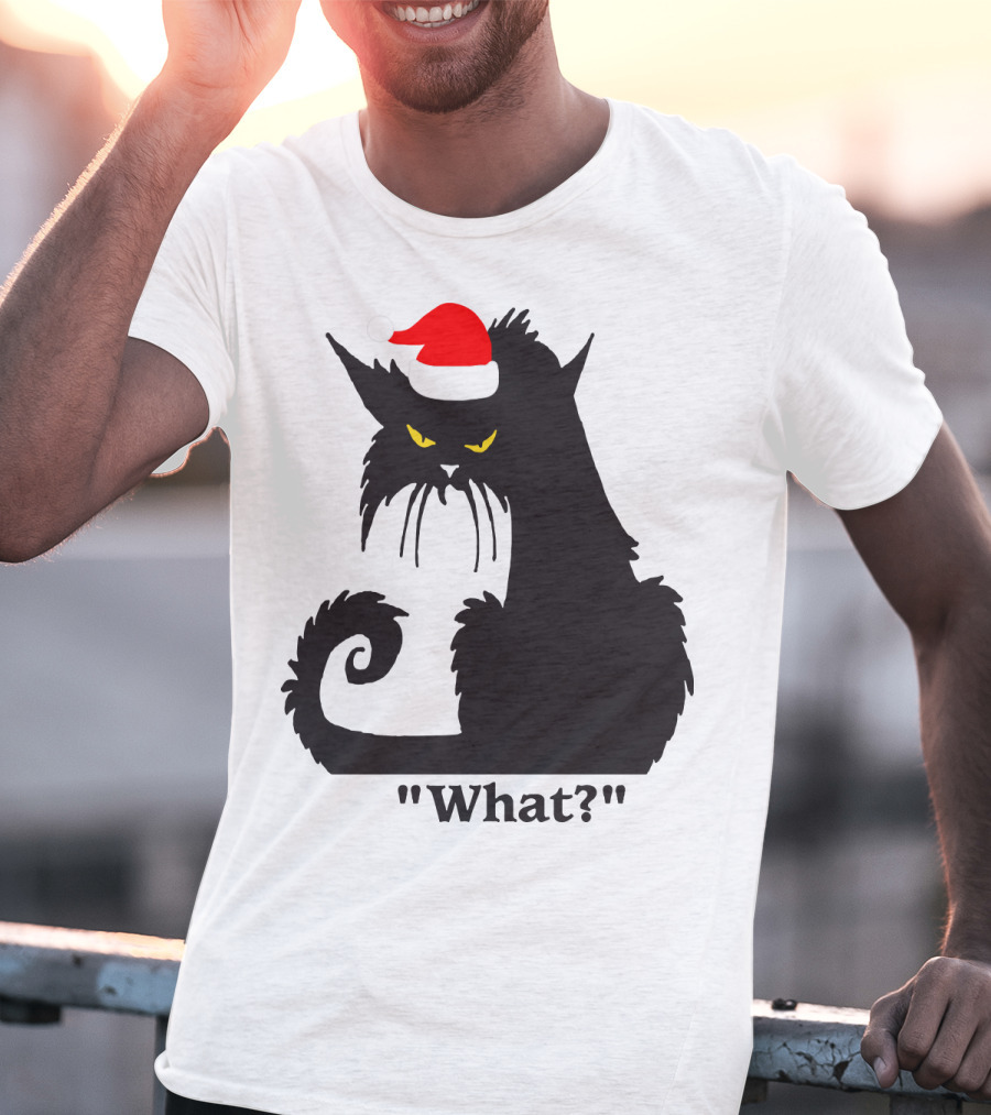 What Cat With Santa Hat T-Shirt