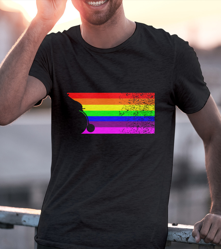 Giraffe Riding A Bike With Retro Rainbow Stripes T-Shirt