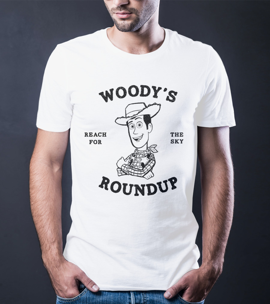 Woody's Roundup Reach For The Sky Disney Pixar T-Shirt