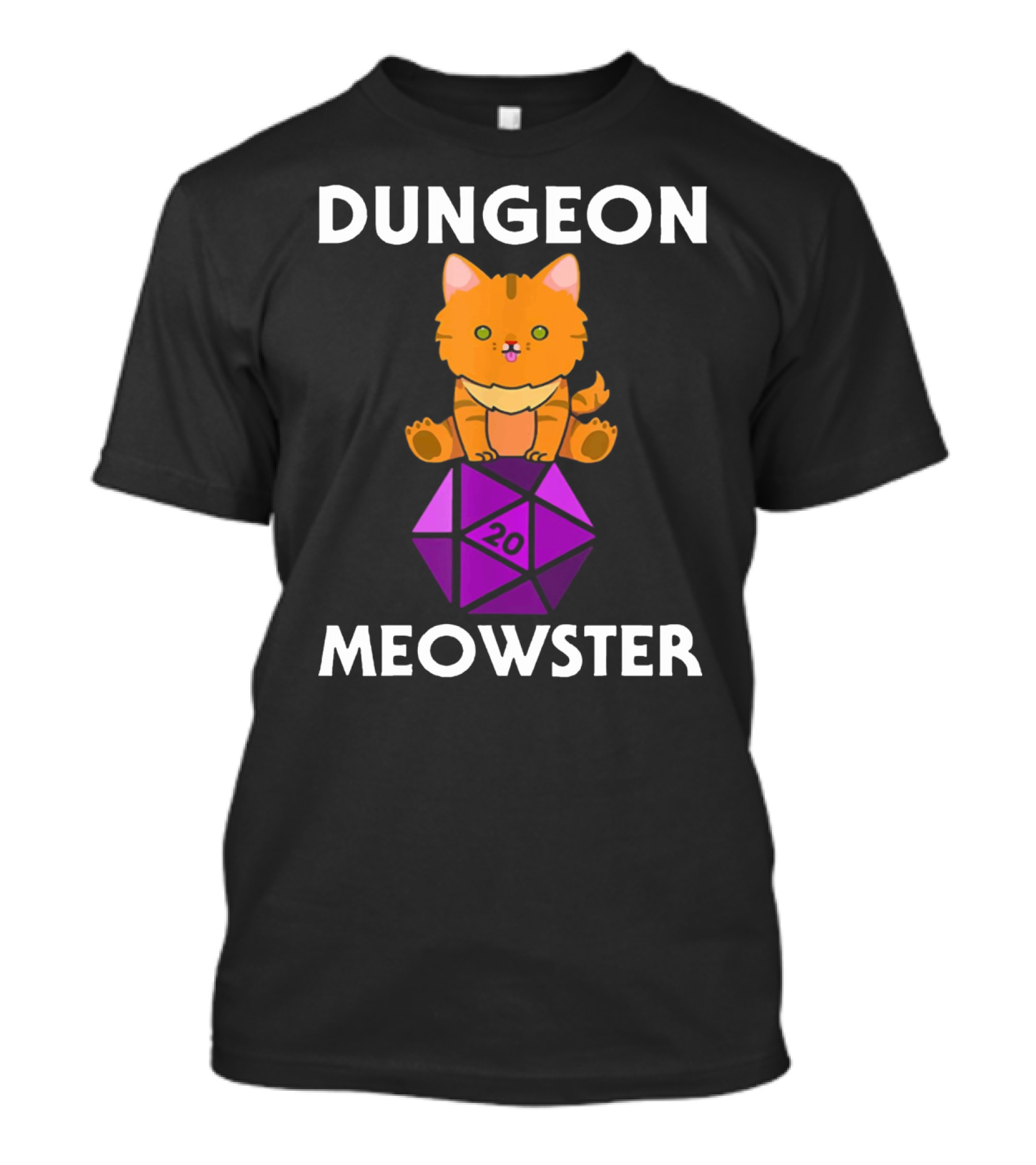 Dungeon Meowster Nerdy Cat With D20 Dice T-Shirt