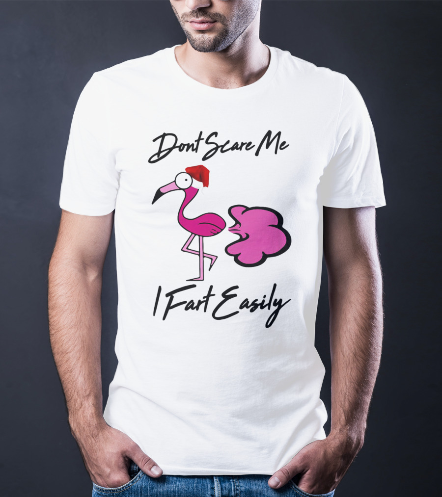 Dont Scare Me I Fart Easily Flamingo With Santa Hat T-Shirt