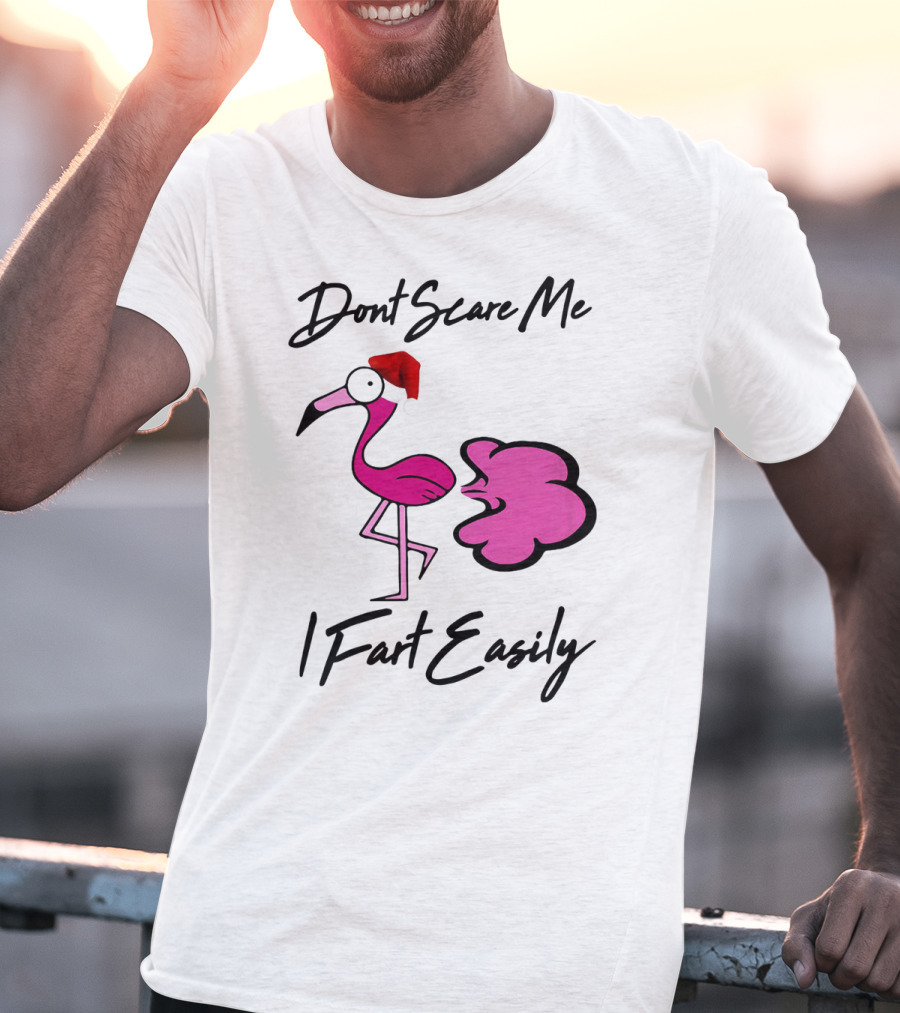 Dont Scare Me I Fart Easily Flamingo With Santa Hat T-Shirt