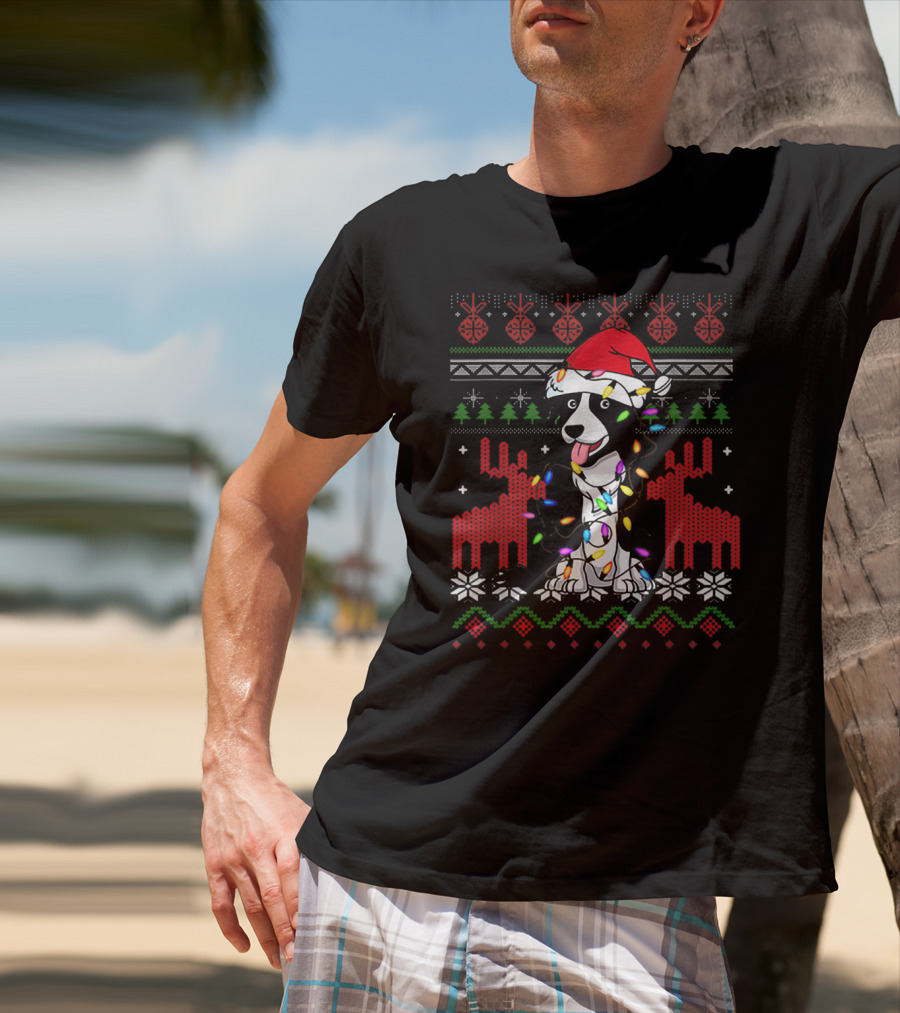 Border Collie Christmas Lights Santa Hat T-Shirt