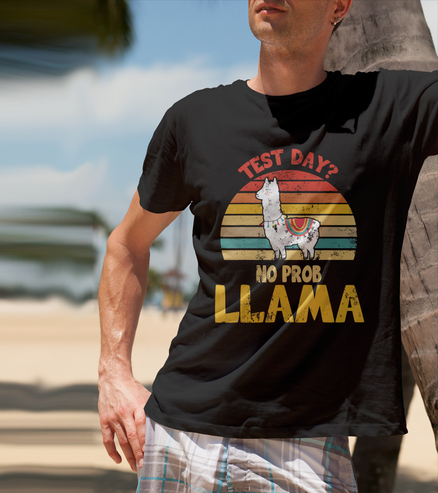 Vintage Test Day? No Prob Llama Retro Teacher T-Shirt