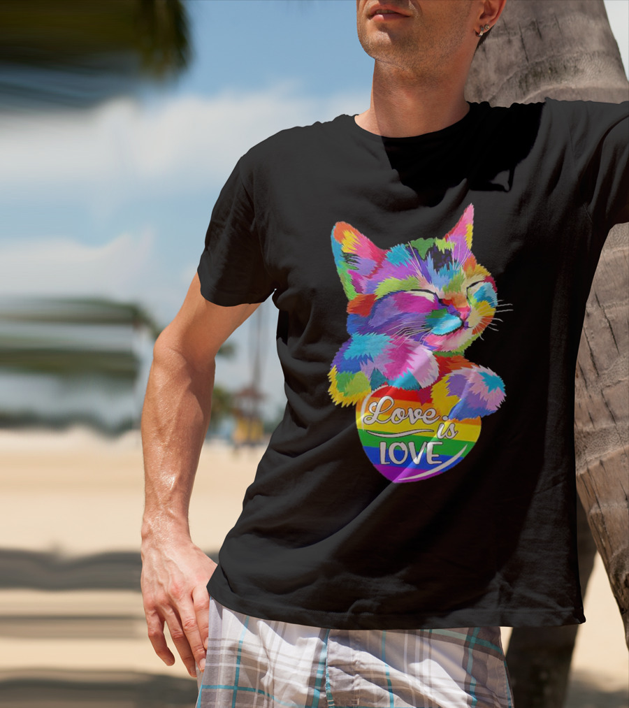 Catlove Colorful Rainbow Cat Love Is Love T-Shirt