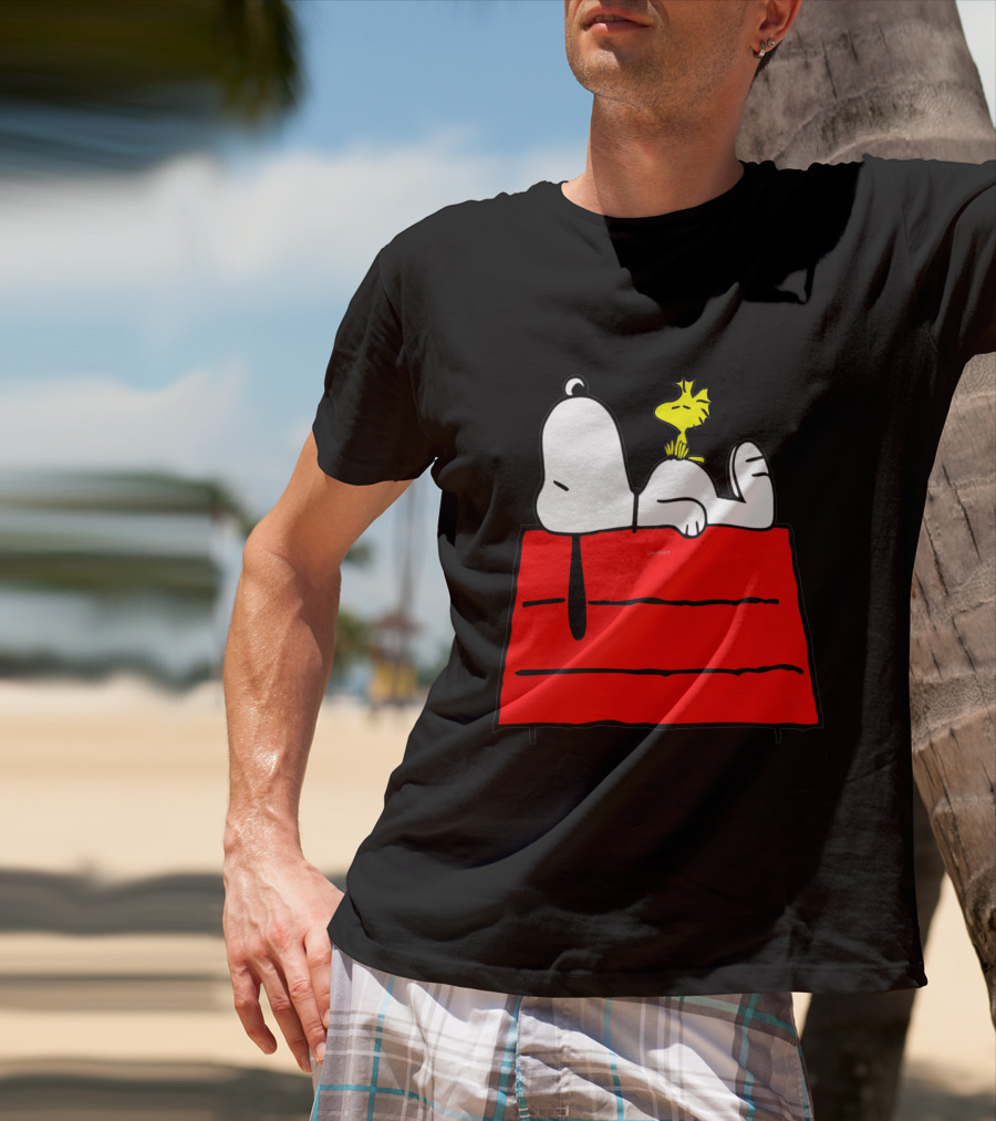 Snoopy Sleeping On Red Doghouse With Woodstock T-Shirt