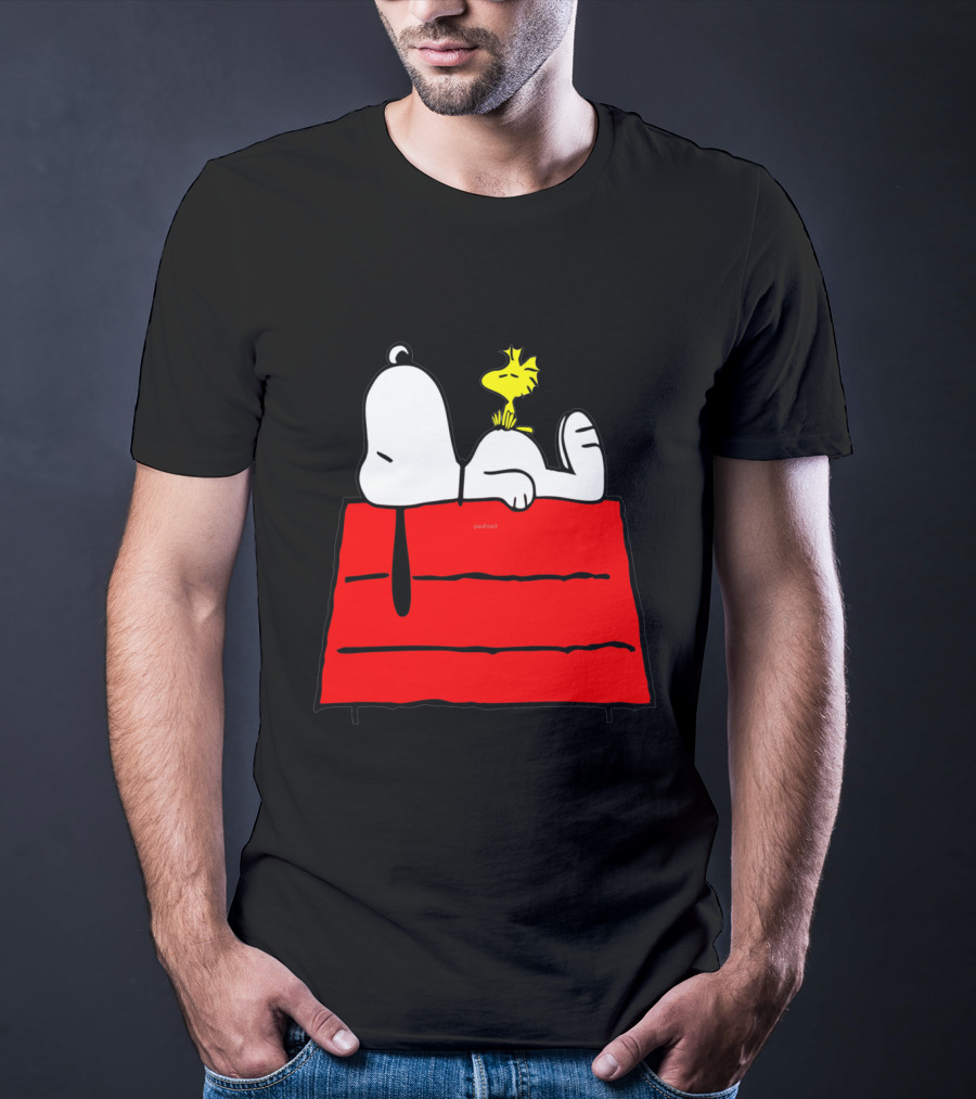 Snoopy Sleeping On Red Doghouse With Woodstock T-Shirt