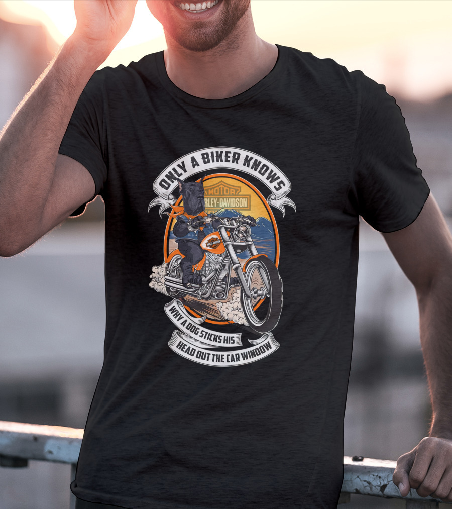 Only A Biker Knows Why A Dog Sticks His Head Out The Car Window Harley Davidson Great Dane Motorcycle T-Shirt
