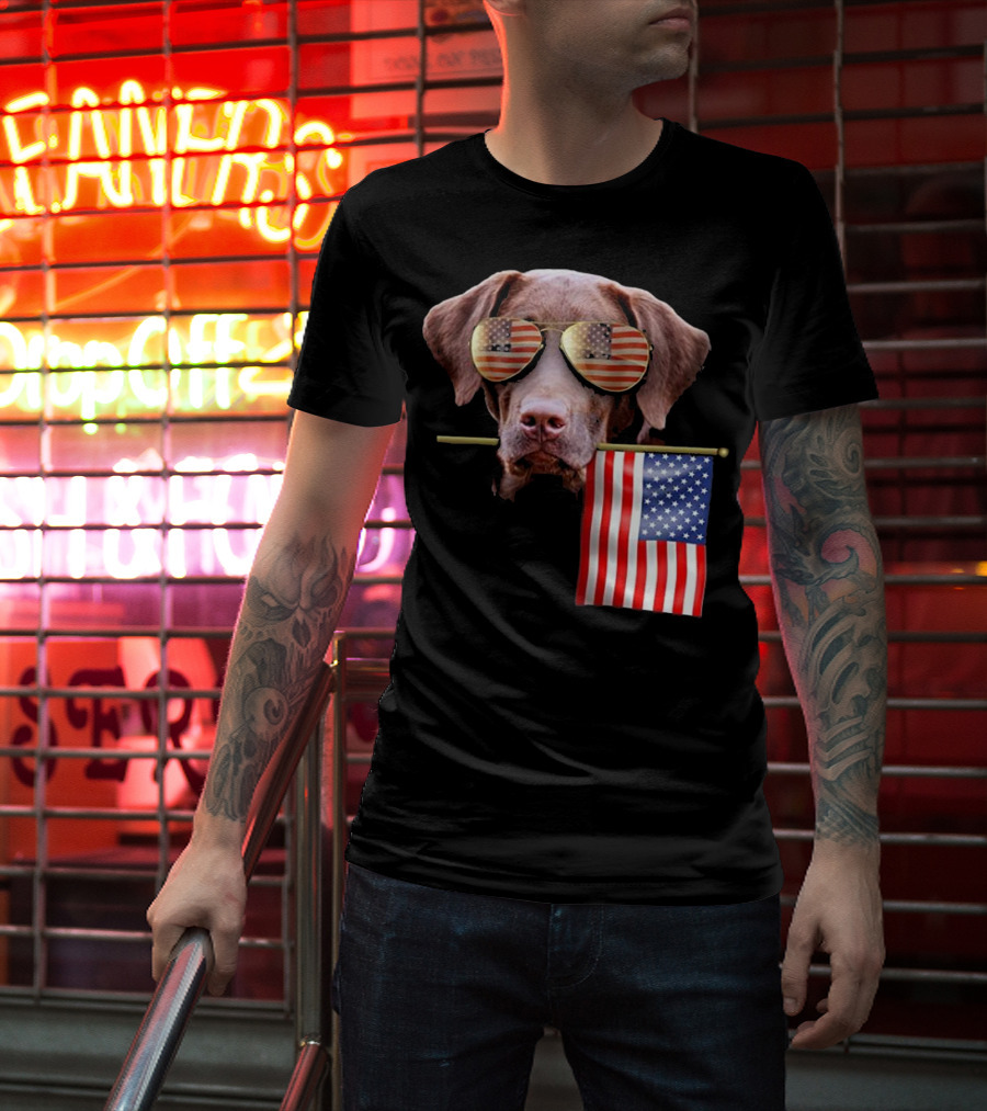Pitbull Dog With American Flag Sunglasses And Flag T-Shirt