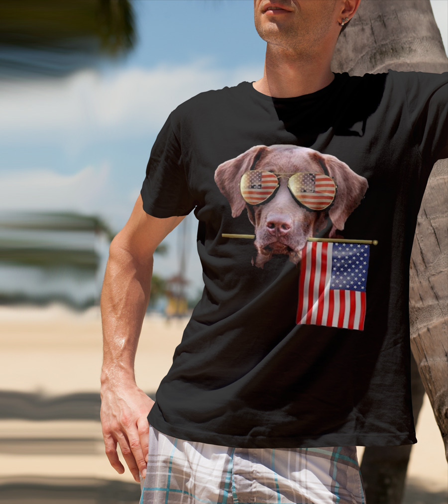 Pitbull Dog With American Flag Sunglasses And Flag T-Shirt
