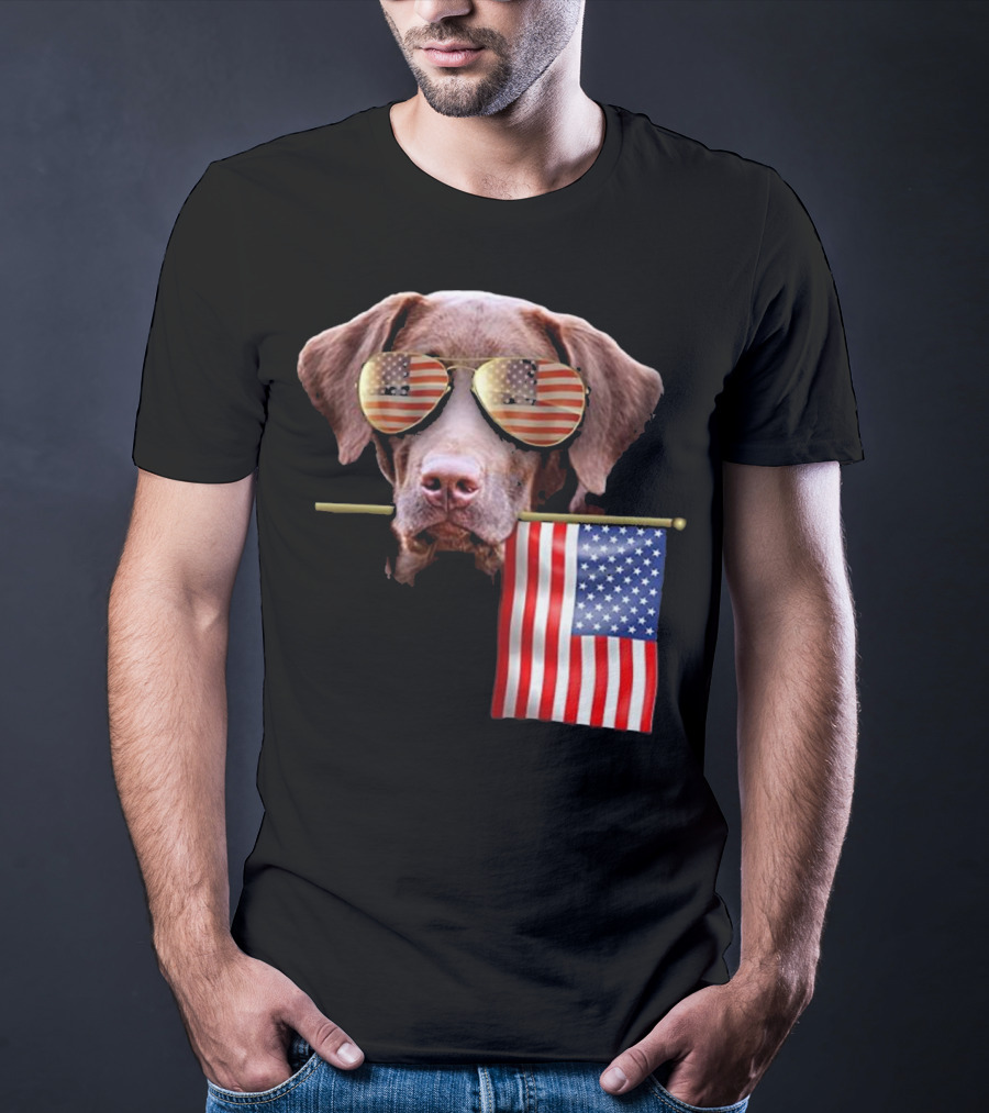 Pitbull Dog With American Flag Sunglasses And Flag T-Shirt