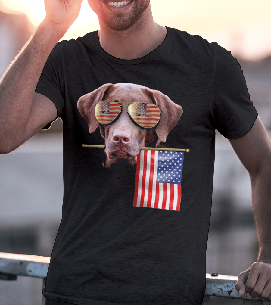 Pitbull Dog With American Flag Sunglasses And Flag T-Shirt