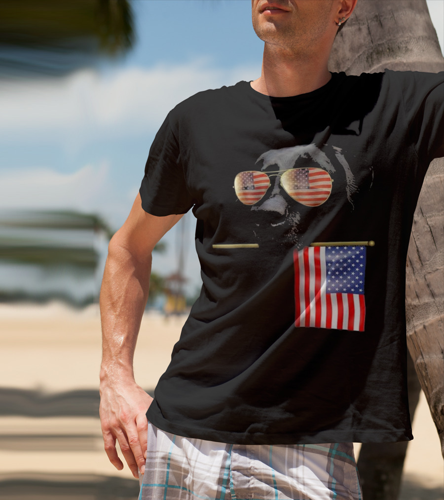 Patriotic Labrador With American Flag Shades Fourth Of July T-Shirt
