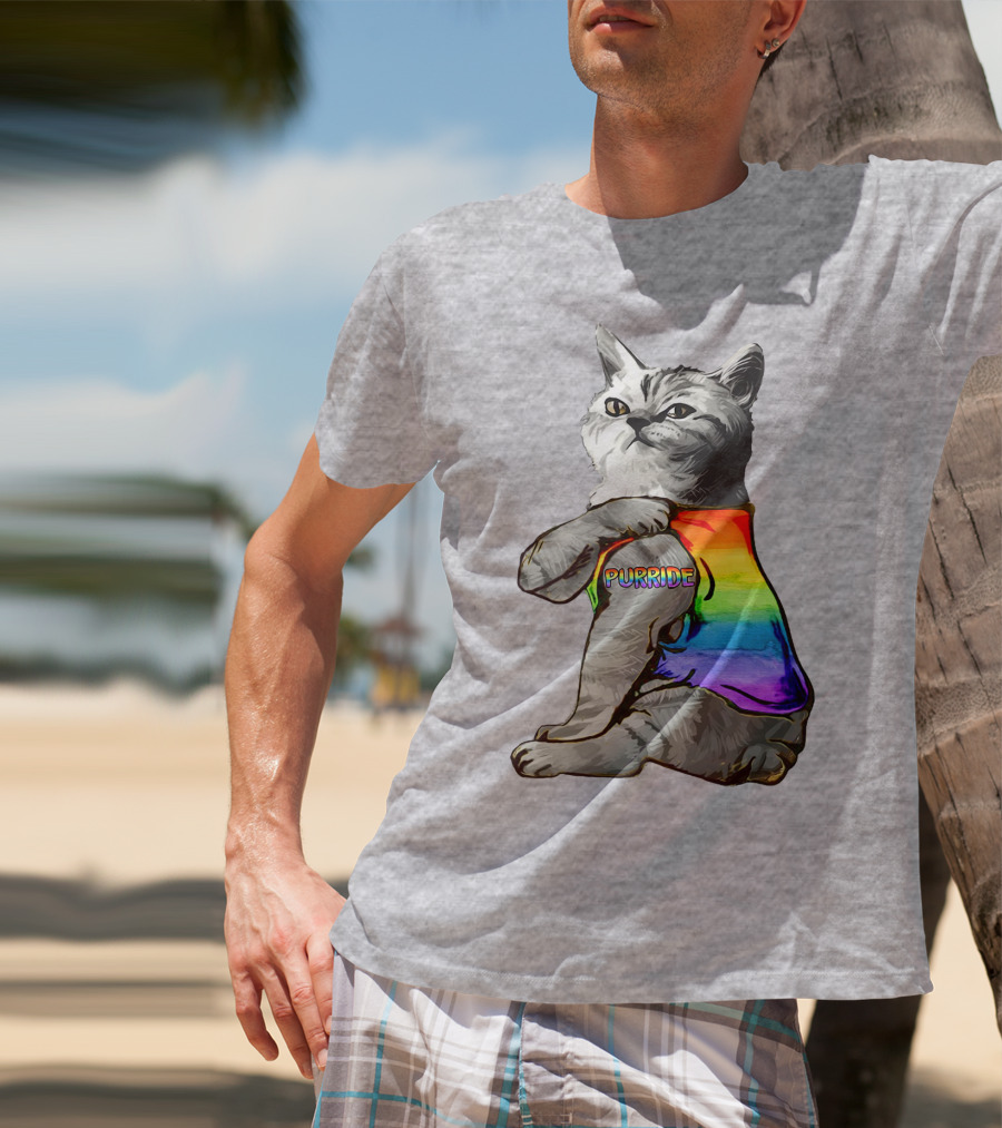 Purride Cat In Rainbow Colors T-Shirt