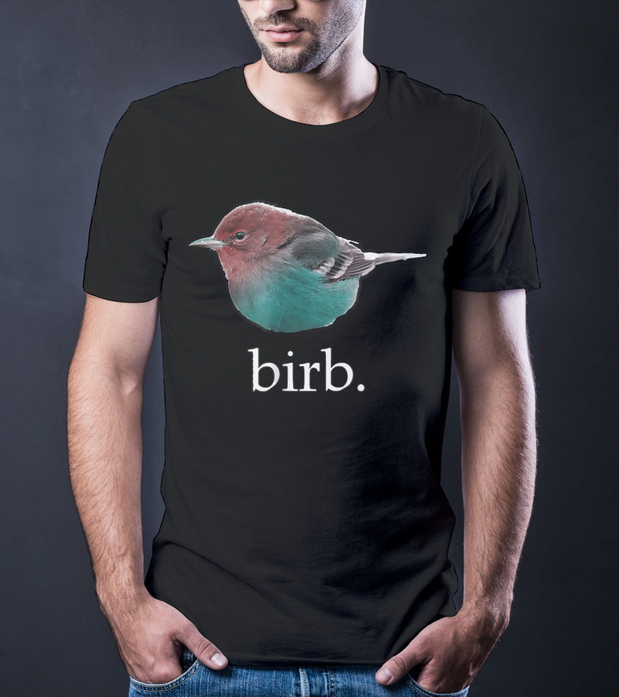 Birb Cute Bird Meme T-Shirt
