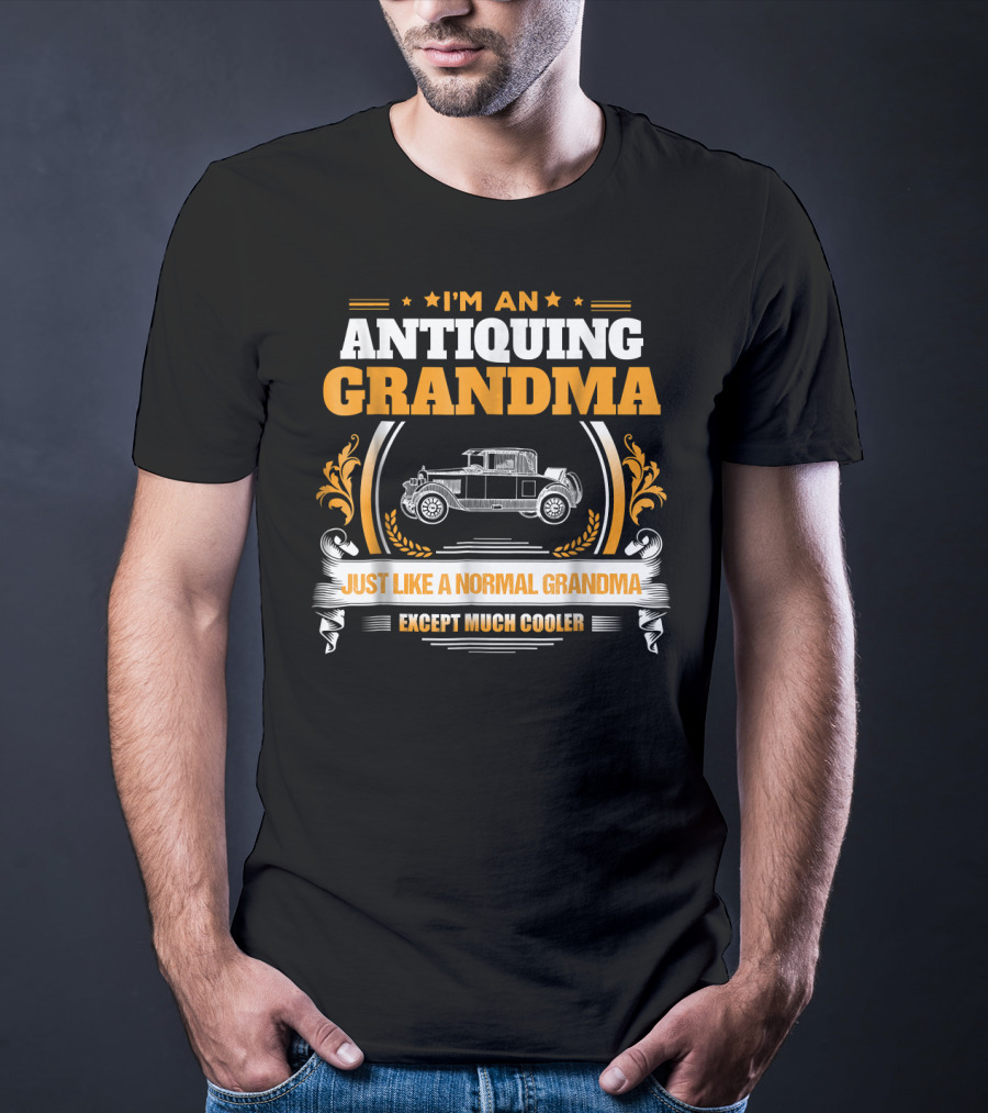 I'm An Antiquing Grandma Just Like A Normal Grandma Except Much Cooler T-Shirt