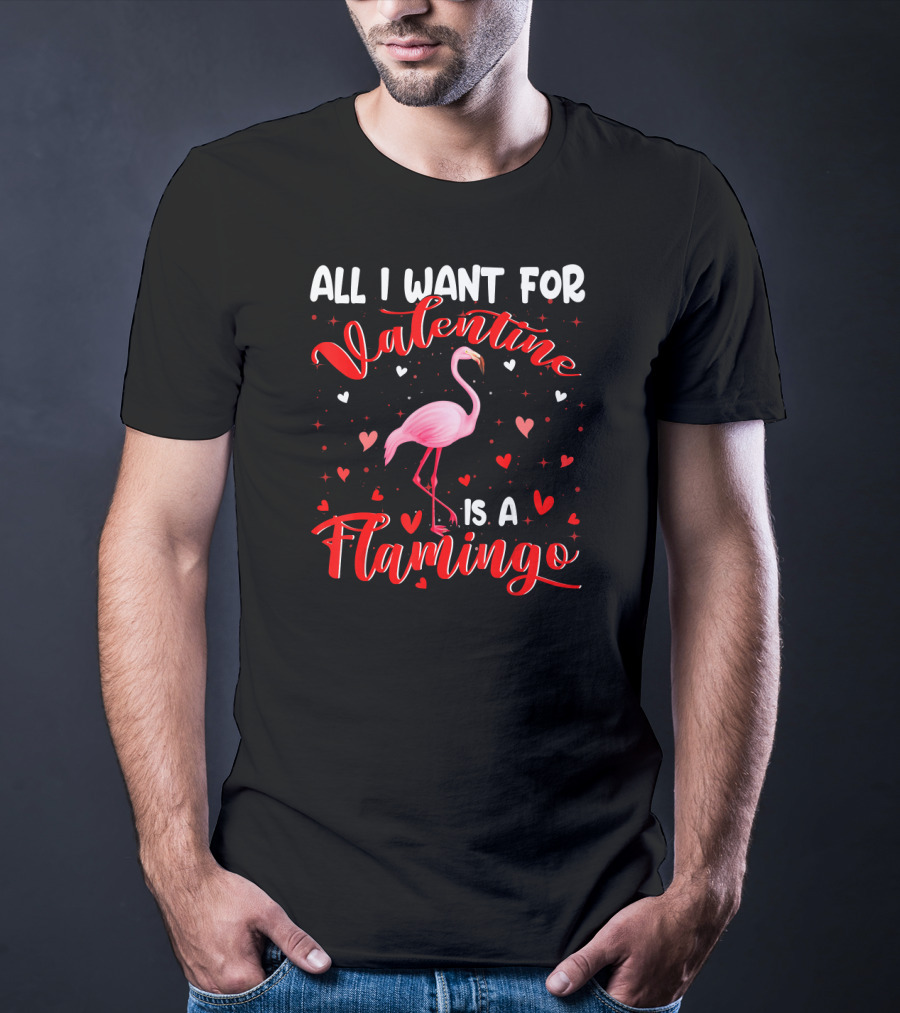 All I Want For Valentine Is A Flamingo T-Shirt
