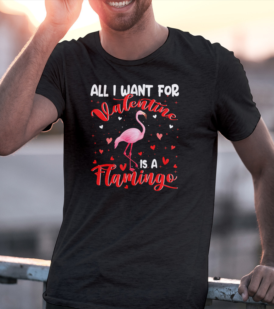 All I Want For Valentine Is A Flamingo T-Shirt