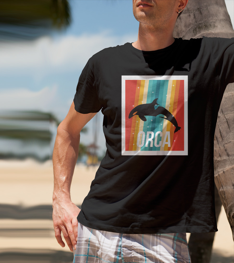 Vintage Orca Killer Whale Rainbow Stripes Retro Raglan Baseb T-Shirt
