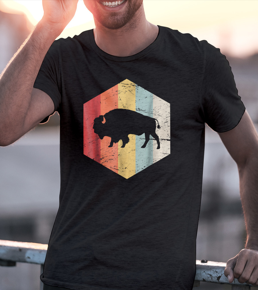 Vintage Buffalo Silhouette Retro Stripes Hexagon T-Shirt