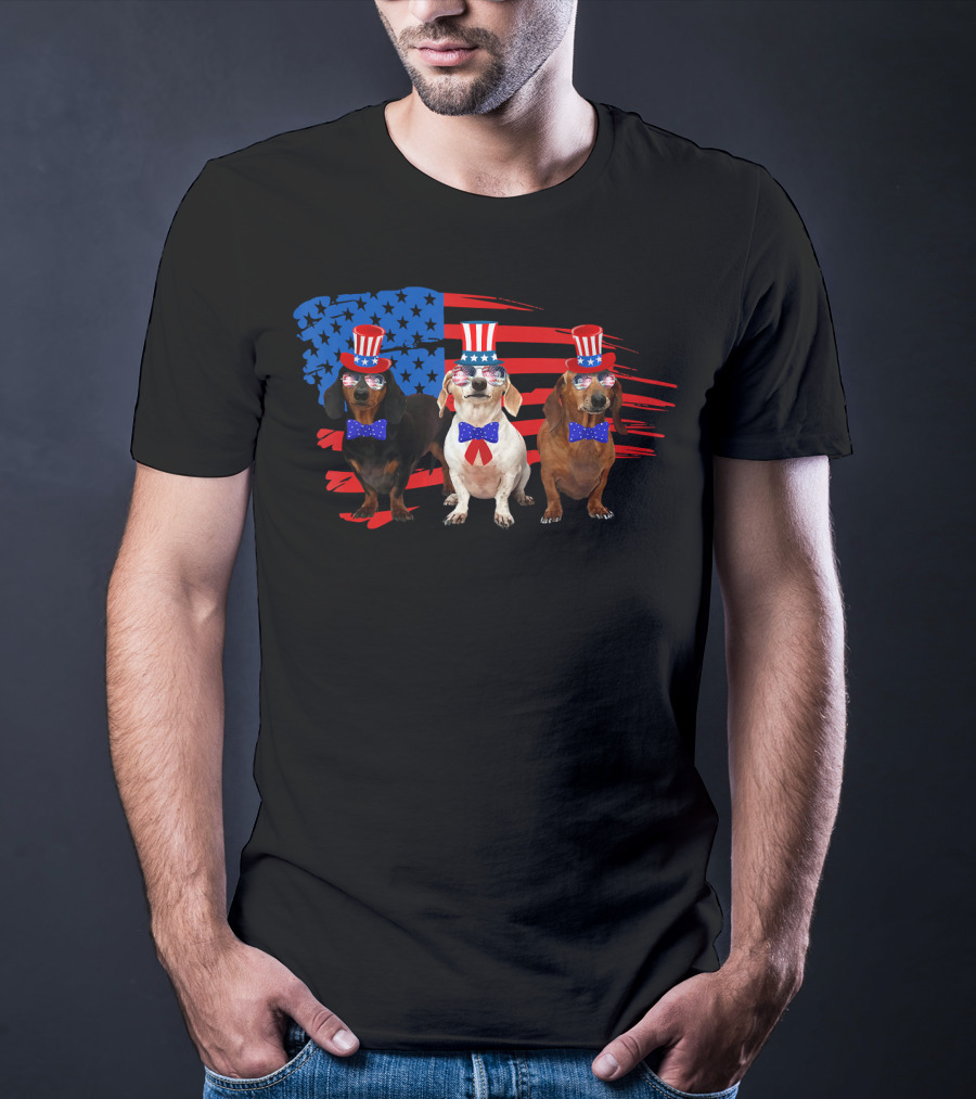 American Patriotic Dachshund Lover July Independence Day Trio T-Shirt