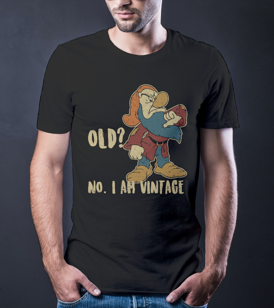 Grumpy Old? No. I Am Vintage T-Shirt