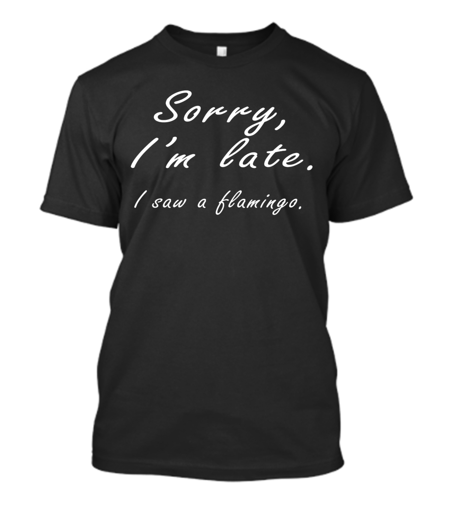 Sorry I'm Late I Saw A Flamingo T-Shirt