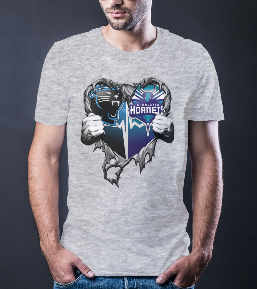 Carolina Panthers Charlotte Hornets Heart T-Shirt